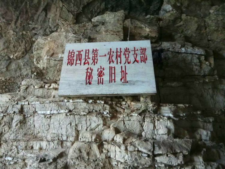 打击东北剿匪是哪一重大事件,最后被清剿的土匪