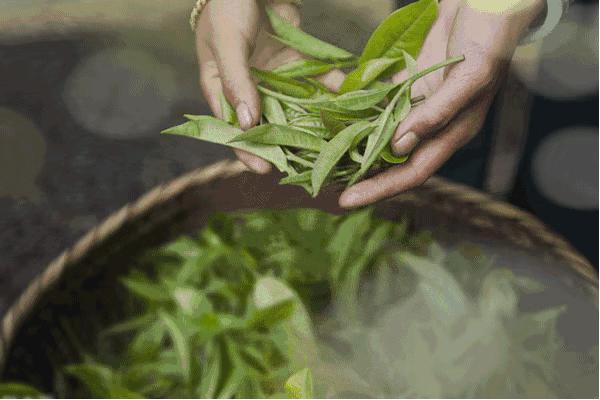 清明过后天空就明净了,今日清明万物生长清洁明净