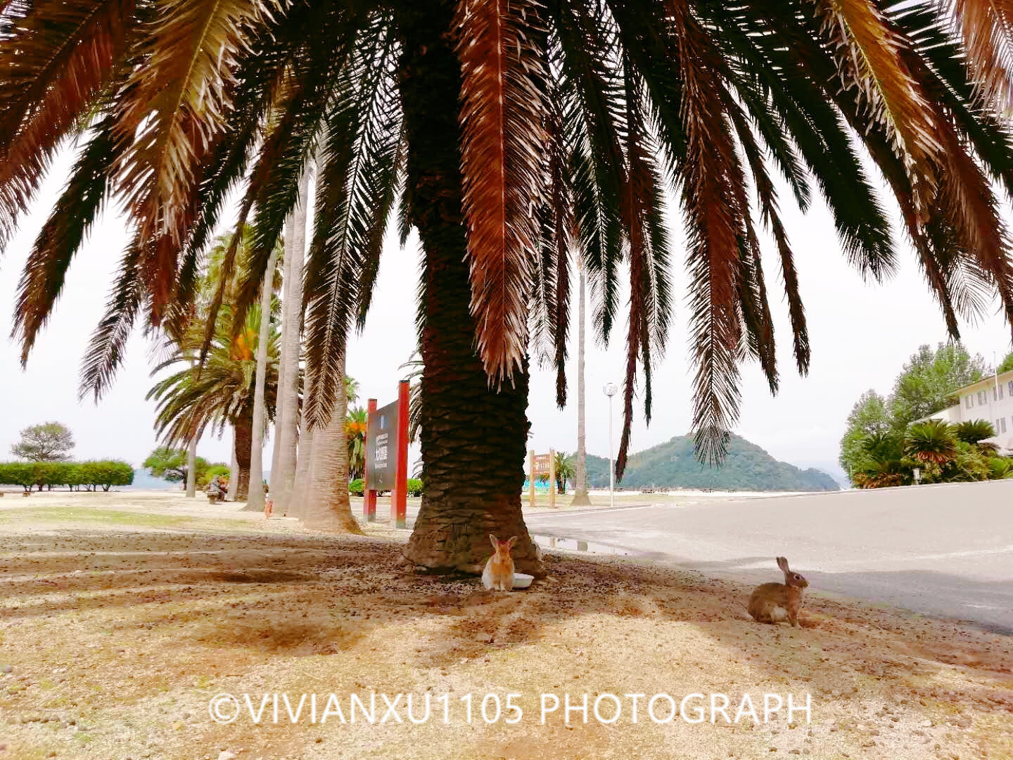 日本本州岛山阴山阳地区纯玩行程美图合集