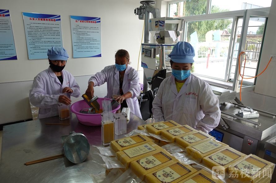 百乡千村调研活动,百县千镇万村高质量发展调研表