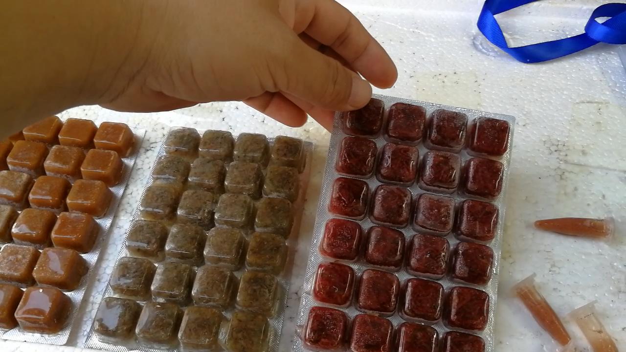 逛观赏鱼市,市场里的观赏鱼热带鱼