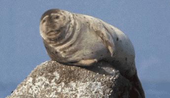 喷嚏憋不住,喷嚏打不出来憋得难受怎么回事