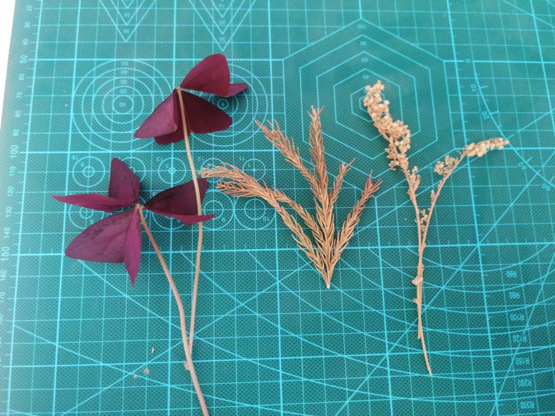 自制书签含名人名言小学生古风版,自制书签小学生好看又可爱简单