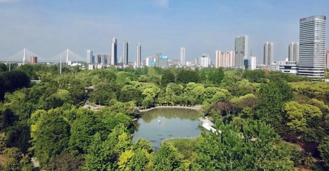 久违了景东,久违了喀什