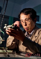 王文辉甲骨文,王文辉玉雕大师