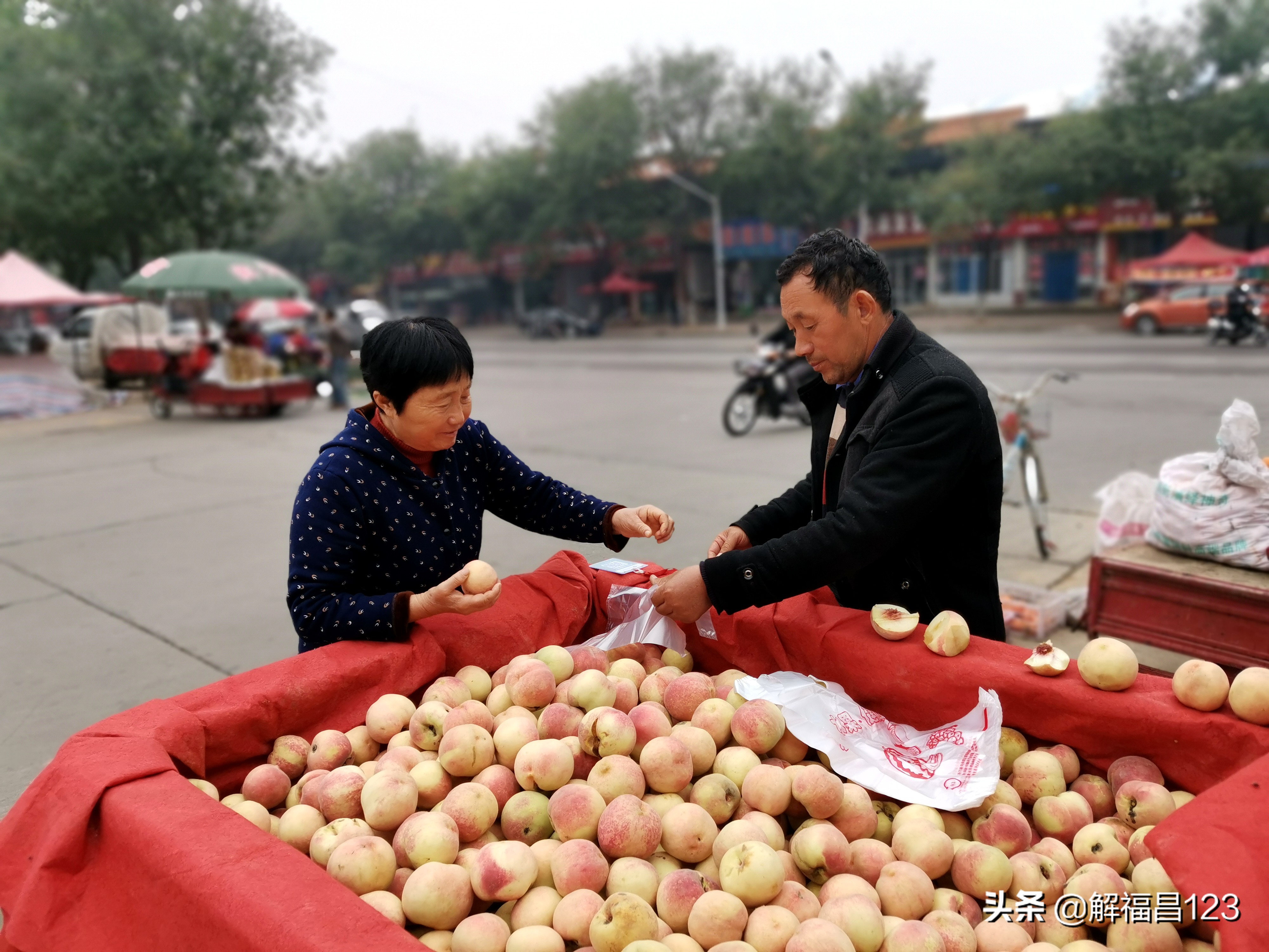 300亩晚熟桃多少钱 (晚熟桃多少钱一亩)