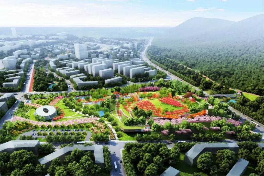 赏梅胜地景点在哪里有,江南赏梅胜地