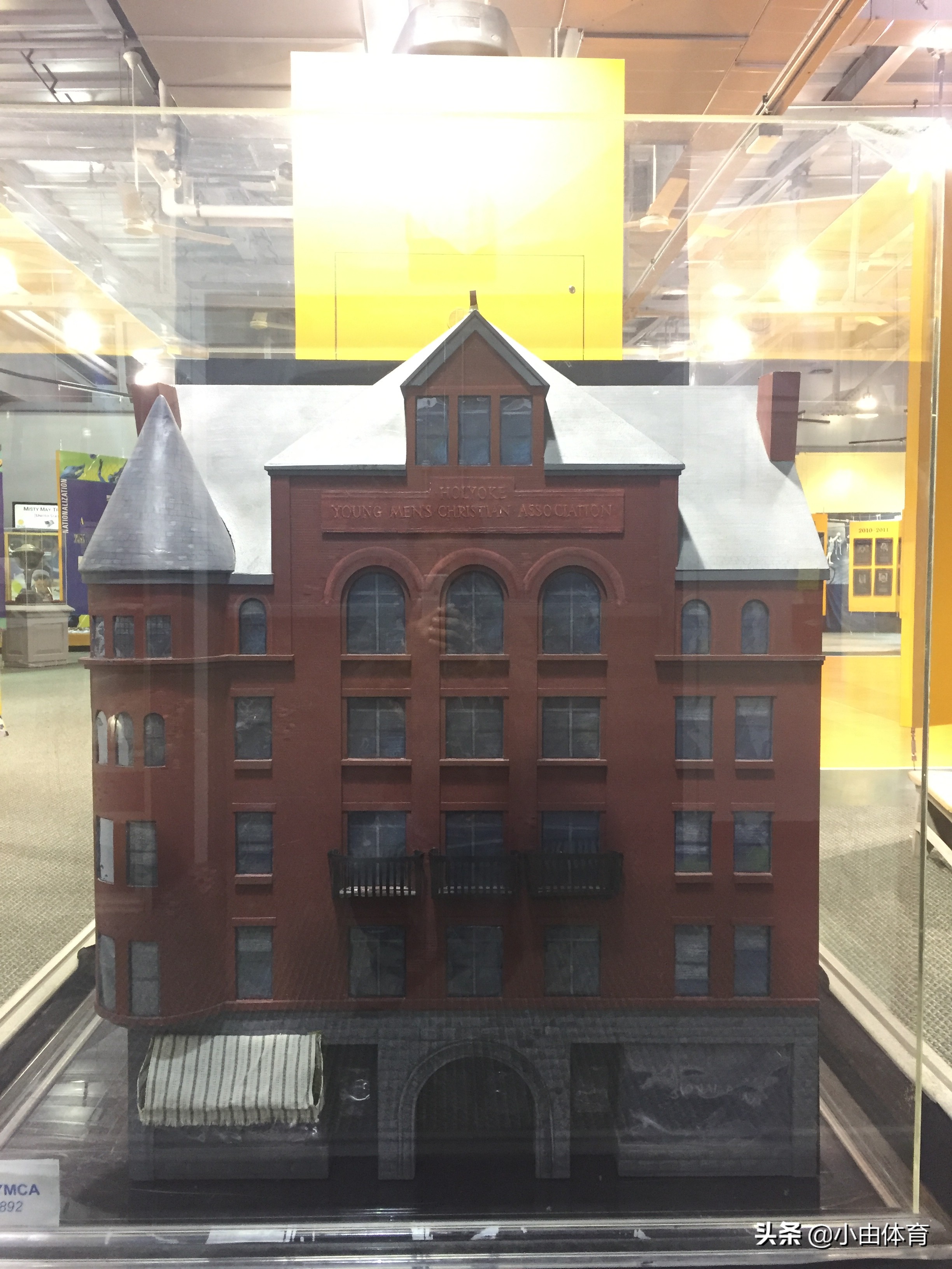 排球名人堂郎平,郎平进入排球名人堂