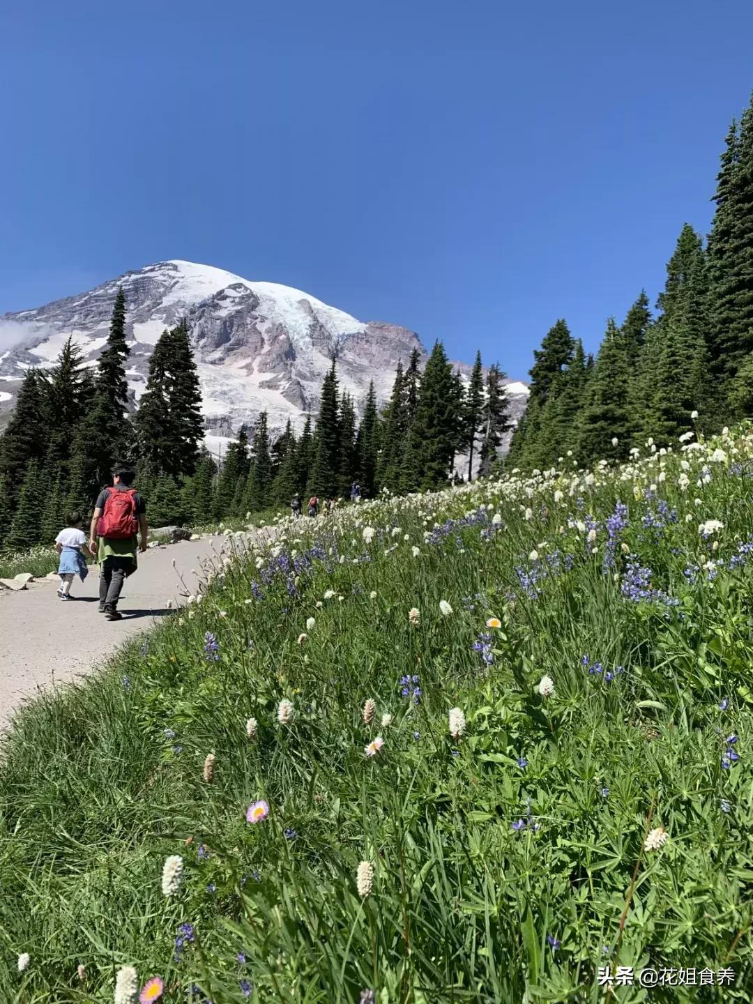 18天我和俩娃，西雅图家庭自由行，民宿、雪山、游艇……好玩刺激