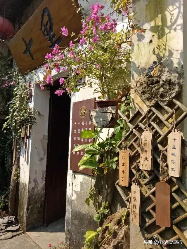 深圳周末春游好去处,深圳春游赏花去哪里好