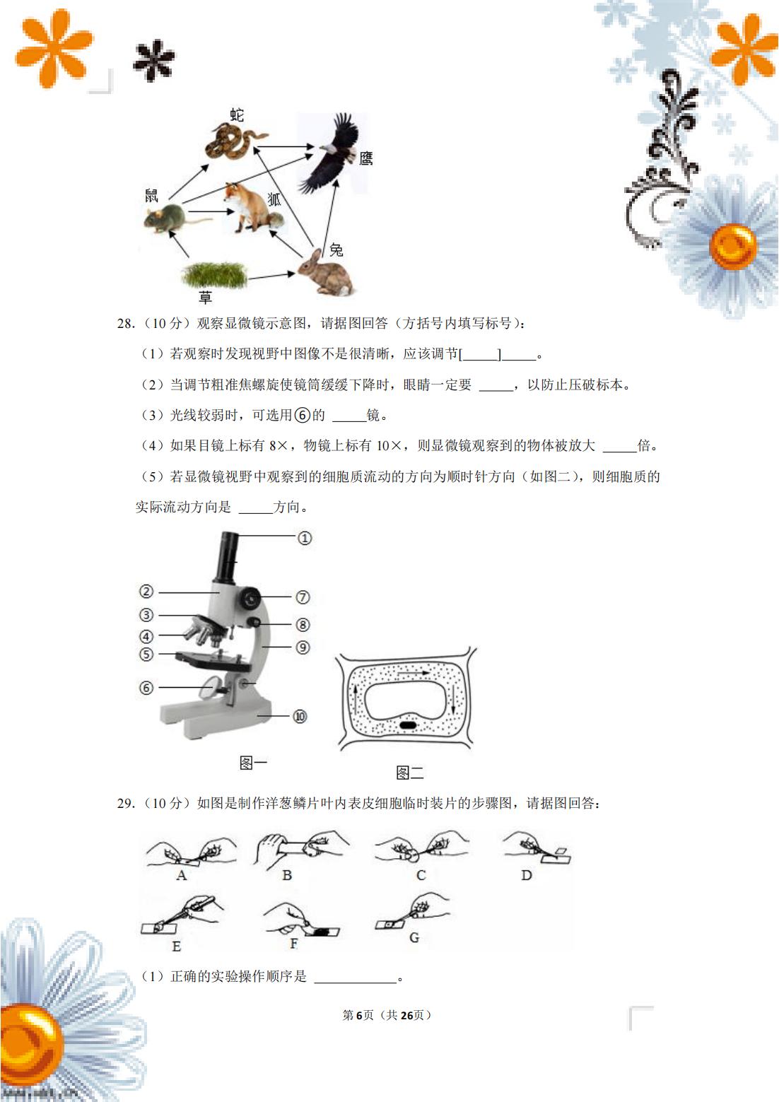 七年级生物下册期中测试卷含答案,七下期中生物人教版试卷