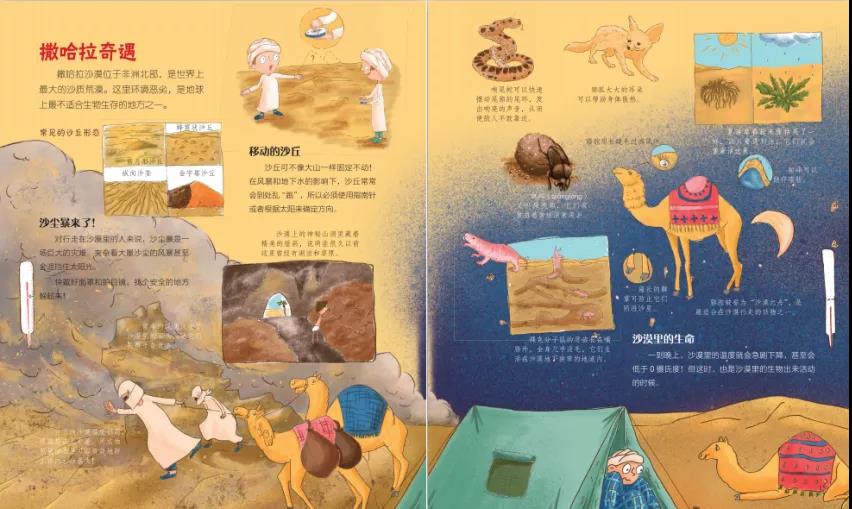 六一推荐绘本,4-5年级儿童节礼物排行榜推荐