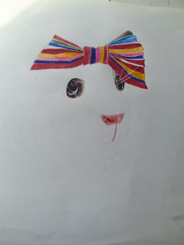 仓鼠食盆简笔画,仓鼠简笔画团子