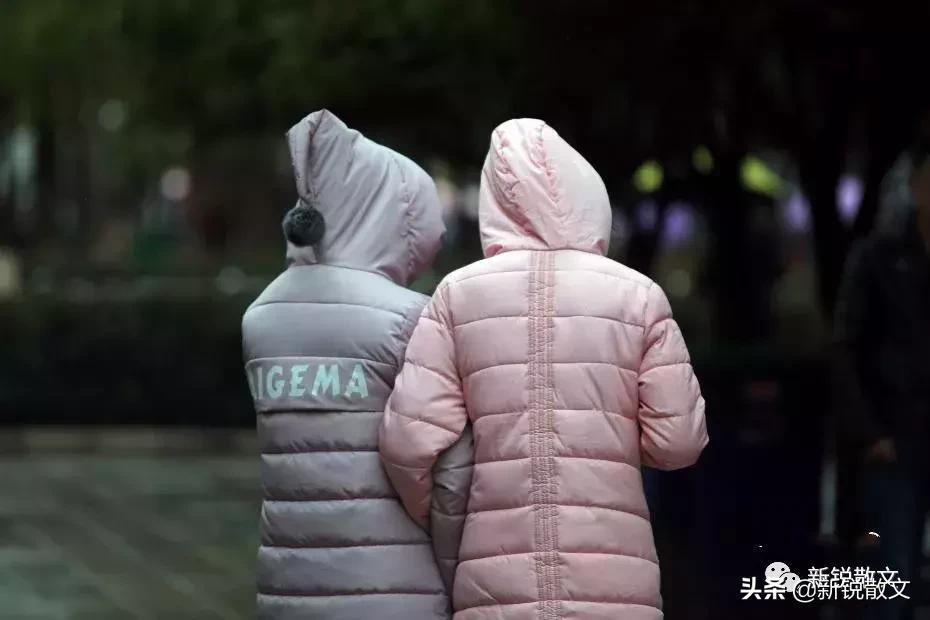 你还觉得冷？看，迎春花已经徐徐开放了