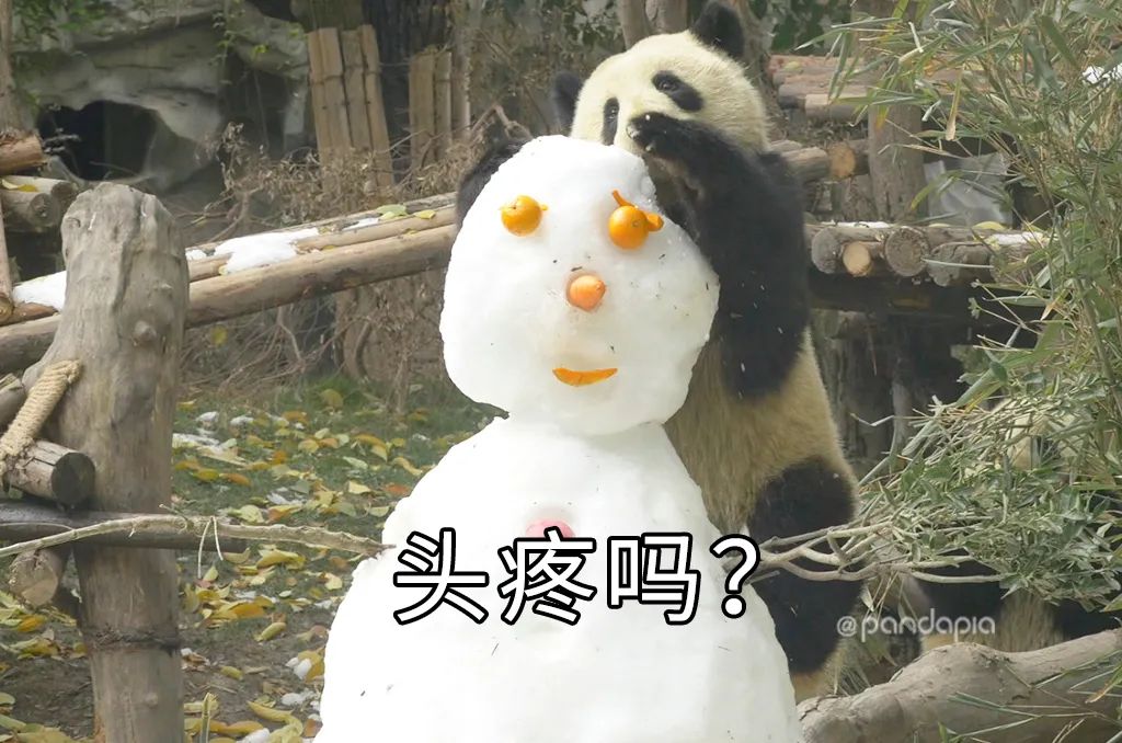 只要肯努力丑小鸭也能变成白天鹅,只要肯努力可以逆袭吗