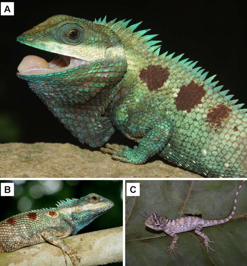 它是蓝颜祸水还是蓝颜薄命,都与你我有关