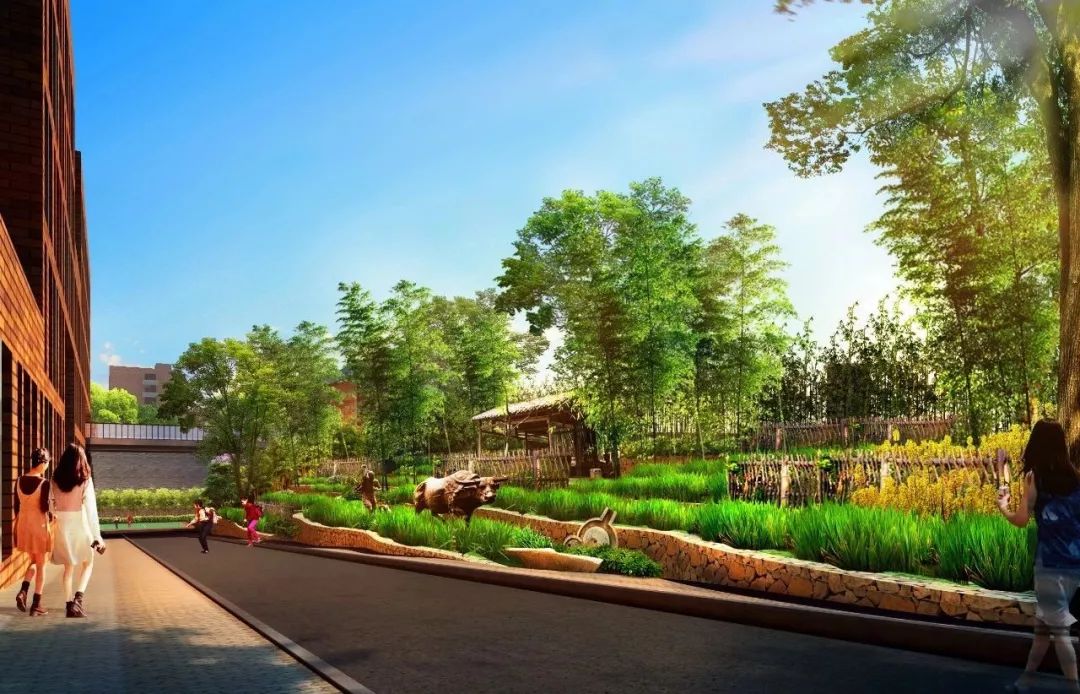 重庆哪个板块教育好,重庆学区最好的片区