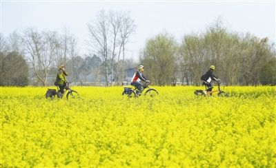 踏青过敏的症状,踏青后过敏