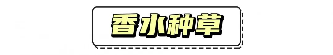 便宜好闻的香水男生,香水什么味道好闻男生