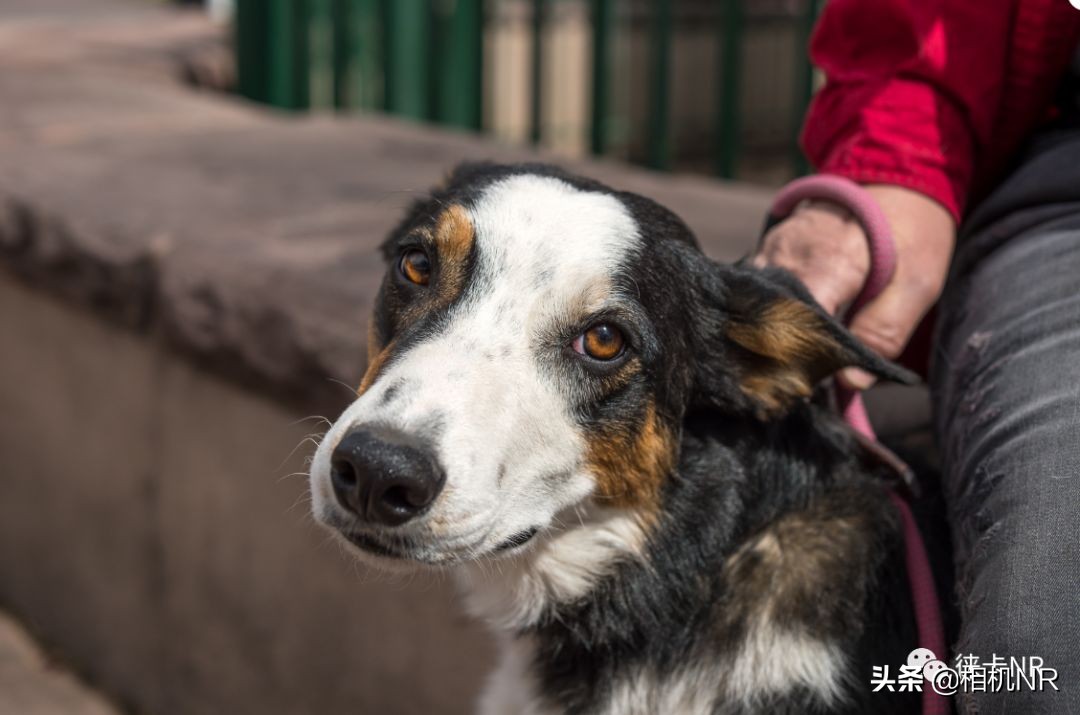 徕卡cl拍照,徕卡cl相机测评