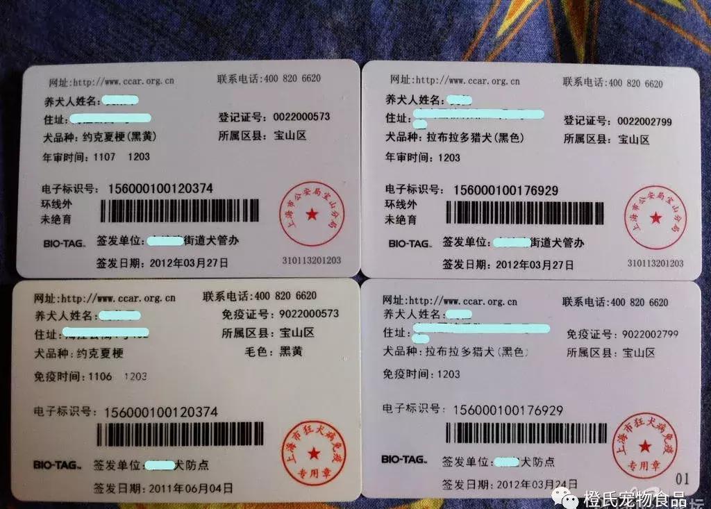 办宠物证在哪里可以办,狗狗走失了可以到警局查监控吗