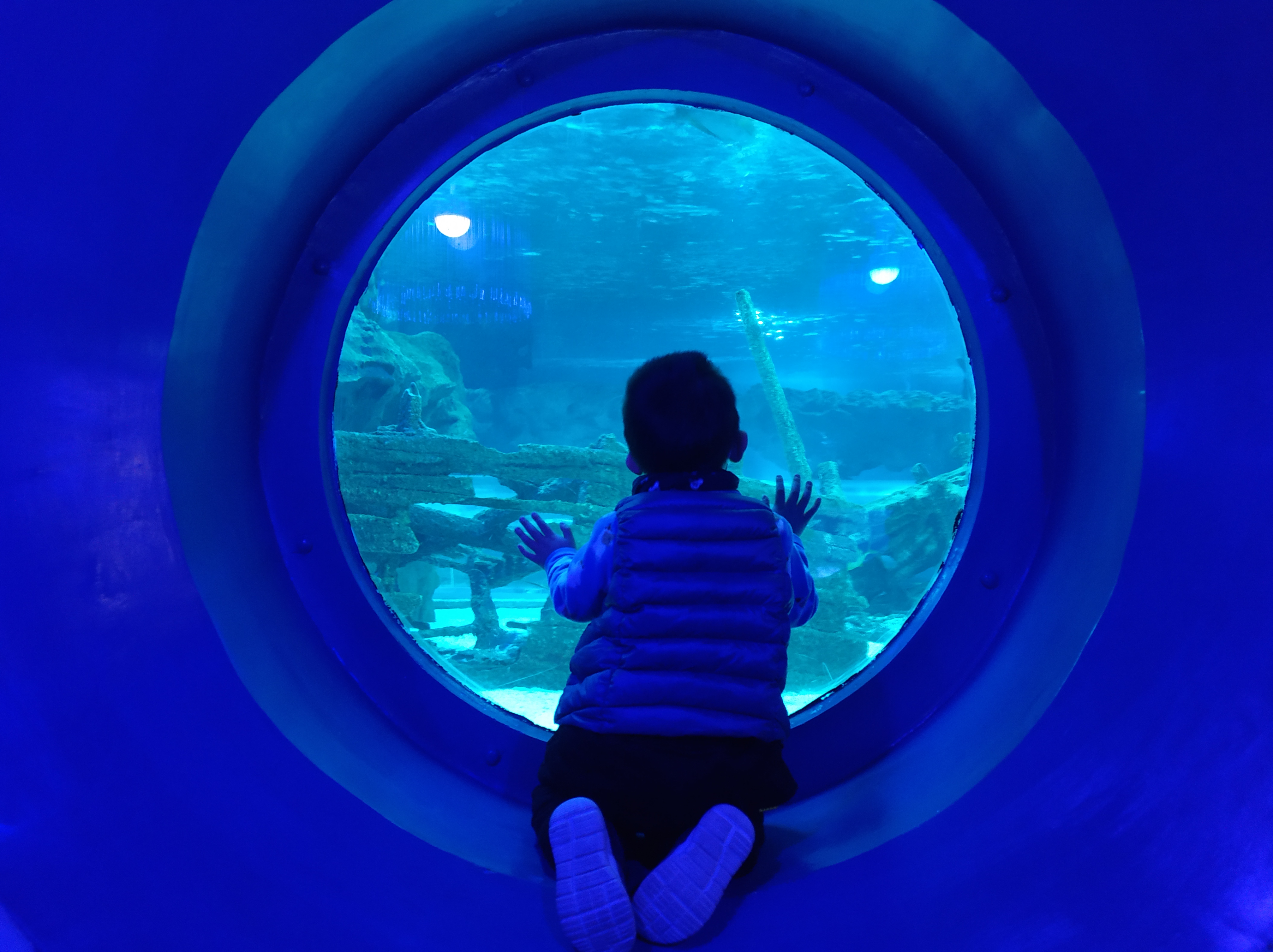 海洋馆北京第一名,北京最长隧道海洋馆