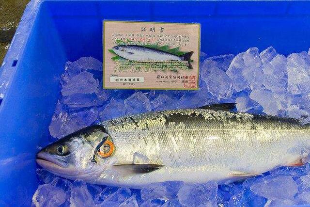 最顶级的5种海鲜,盘点我吃不起的五大顶级海鲜