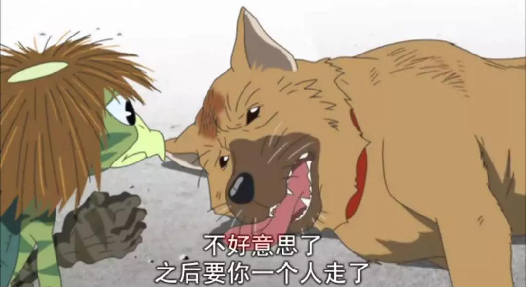 河童之夏结局,河童之夏后续