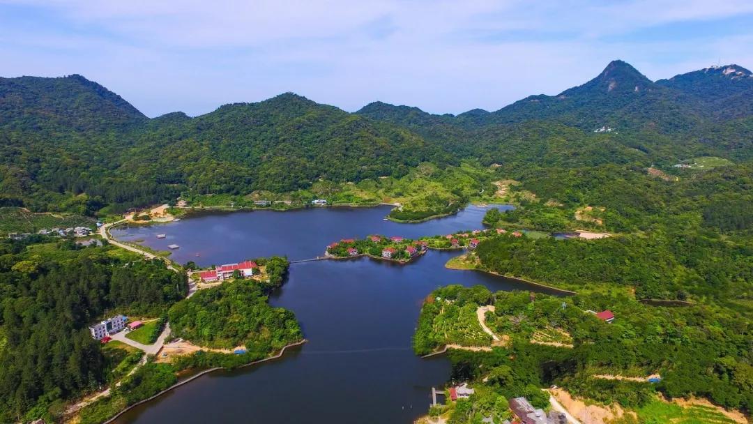 海南自贸港的全景,海南自贸港最新信息乐东