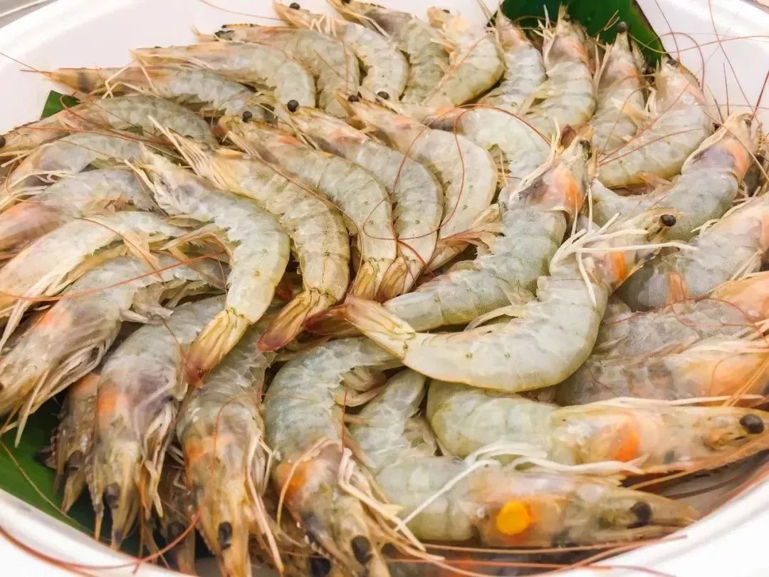 成都海鲜自助餐499元一个,成都生蚝吃到饱自助餐