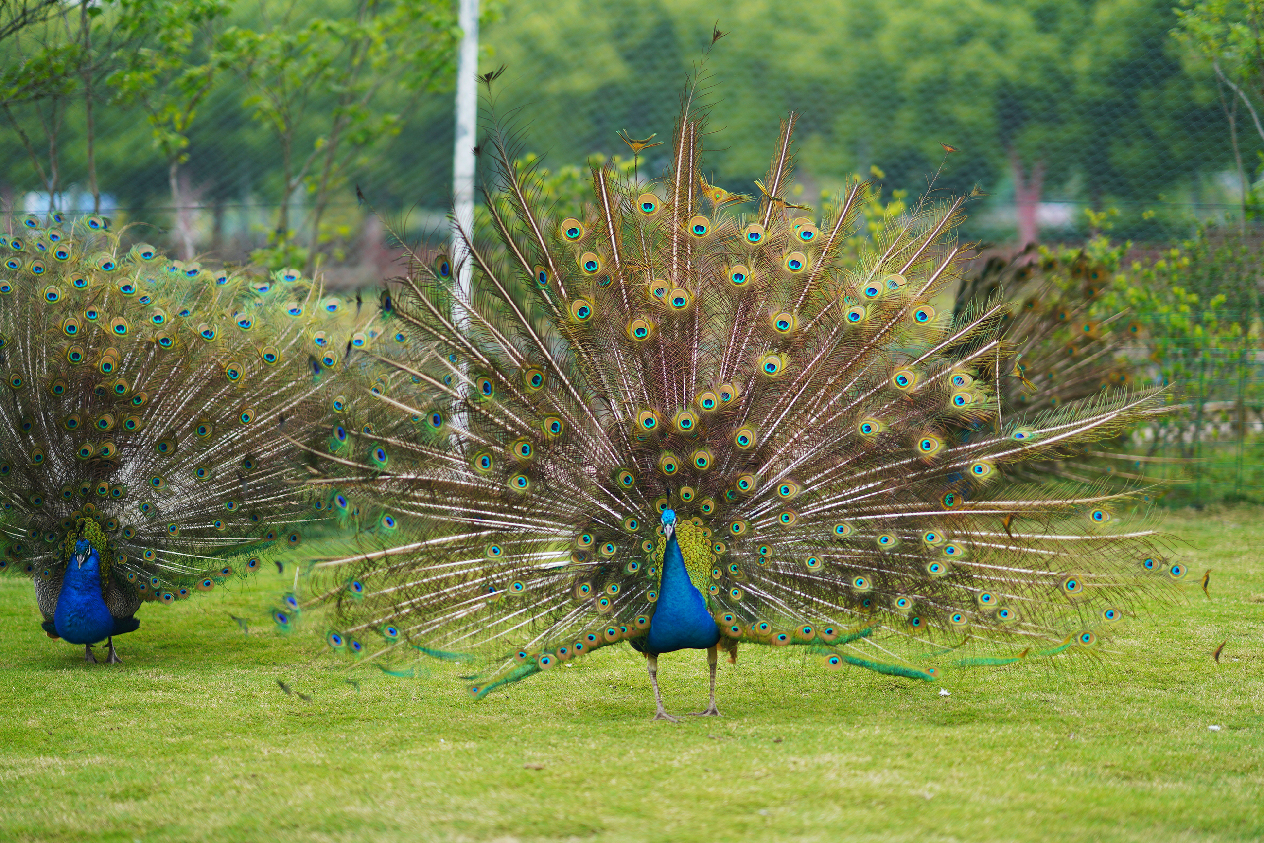 苏州特色民宿推荐,苏州最有特色民宿推荐