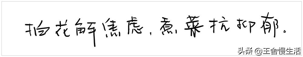 我可以抱抱你吗怎么说,我可以抱你吗的视频