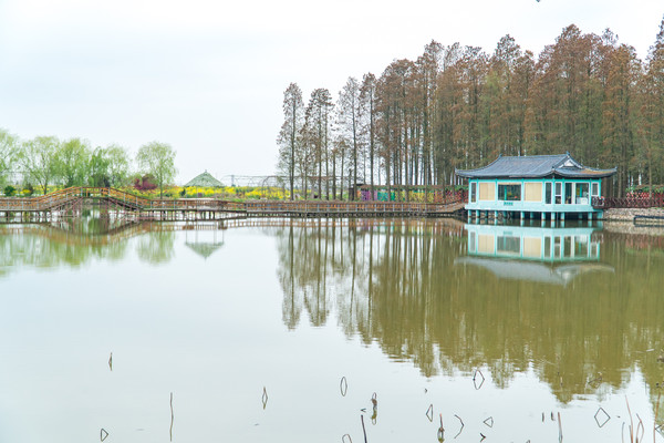 踏春赏花拍美景,踏春赏花逛湖