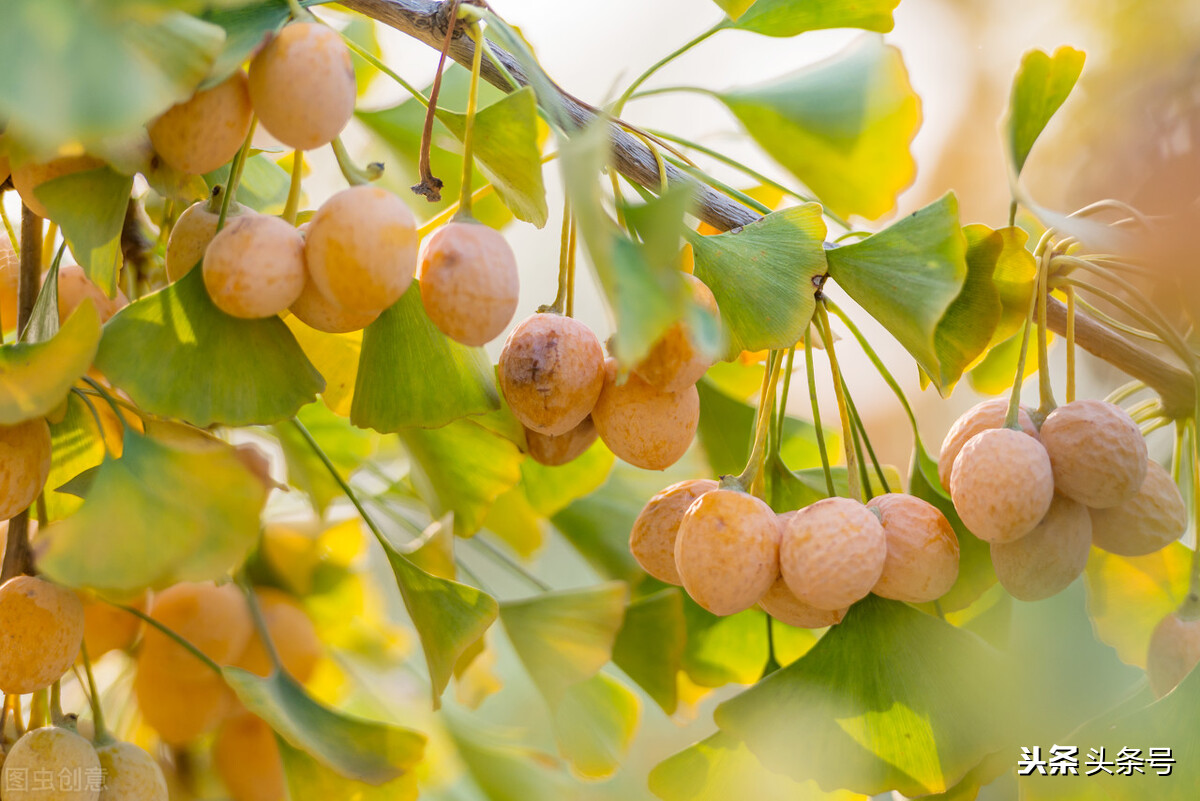 怀疑宝宝误食了异物怎么办,宝宝误食异物的6步家庭急救法
