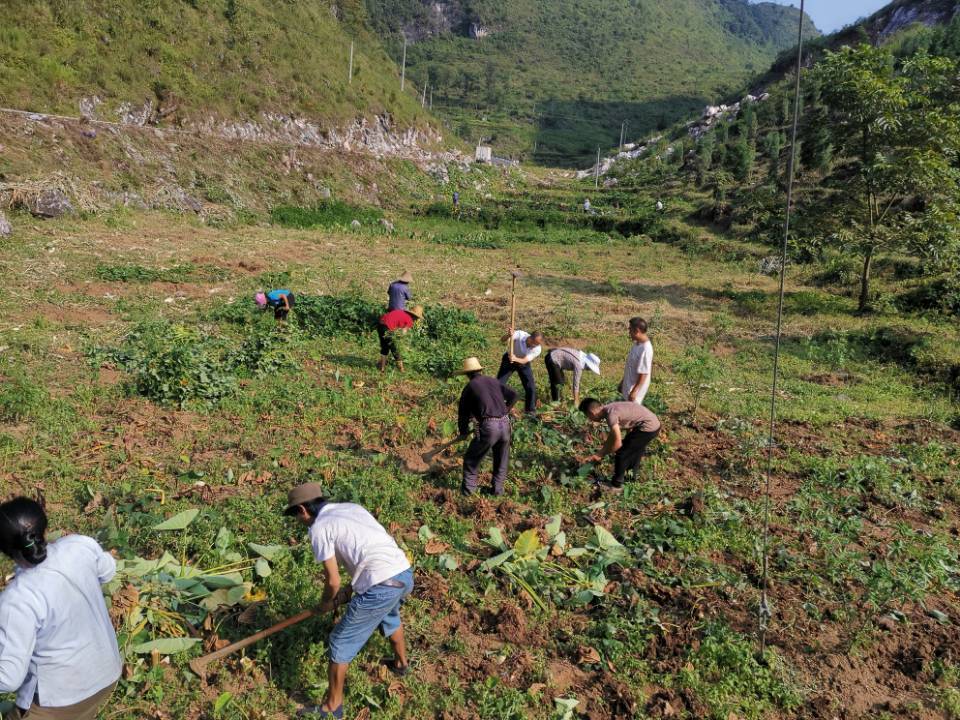 光彩事业促进会和光彩事业基金会,云南光彩事业基金会