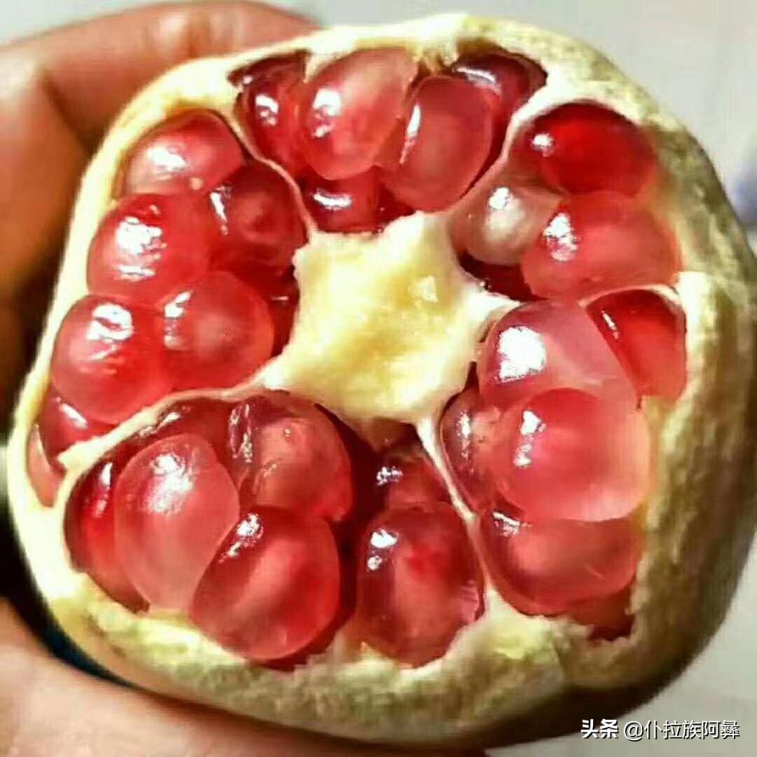 蒙自石榴衍生特产是什么品种,蒙自石榴是什么品种