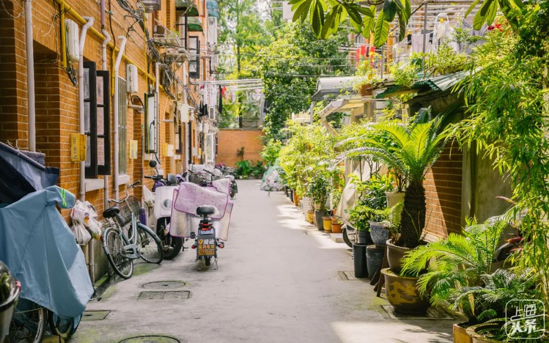 上海99条永不拓宽的路,上海永不拓宽的风貌路