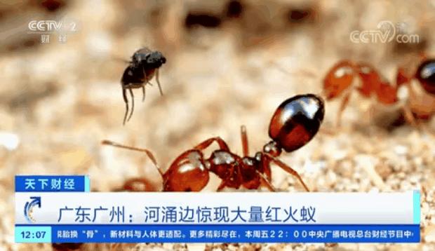 很毒！碰到这种小土堆躲远点