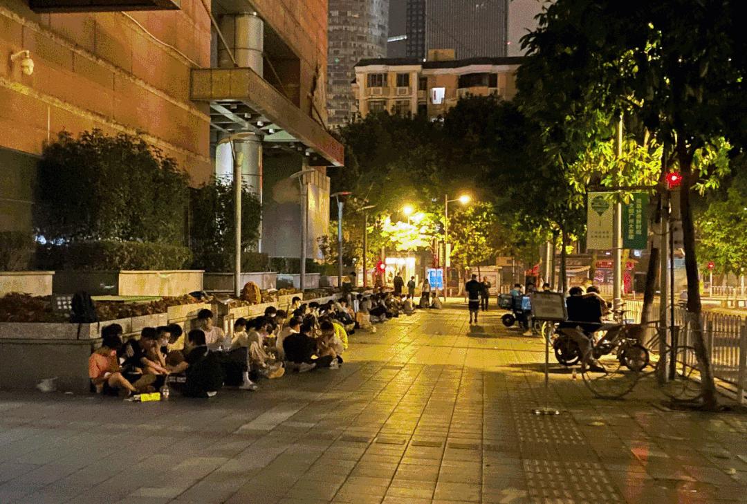 撸猫馆剧本杀,盐城撸猫剧本杀