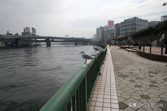 富士相机最经典的复古色彩配方,富士相机潮了