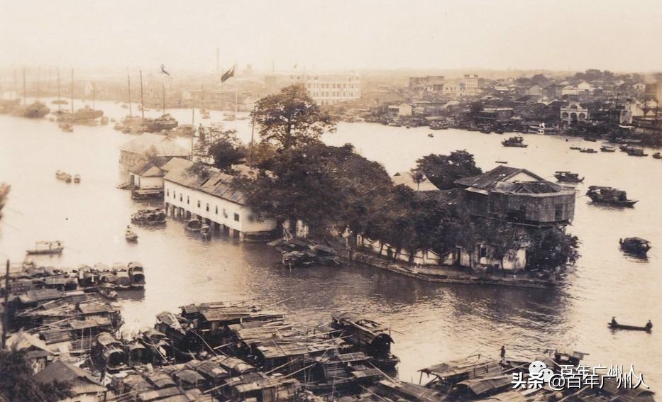 百年广州人|中药西药在广州的遭遇