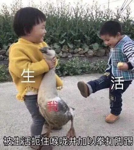 我在闲鱼上买了只猫,我在闲鱼骗了别人500元会坐牢吗