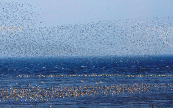 丹东旅游攻略美食推荐,丹东旅游攻略最详细