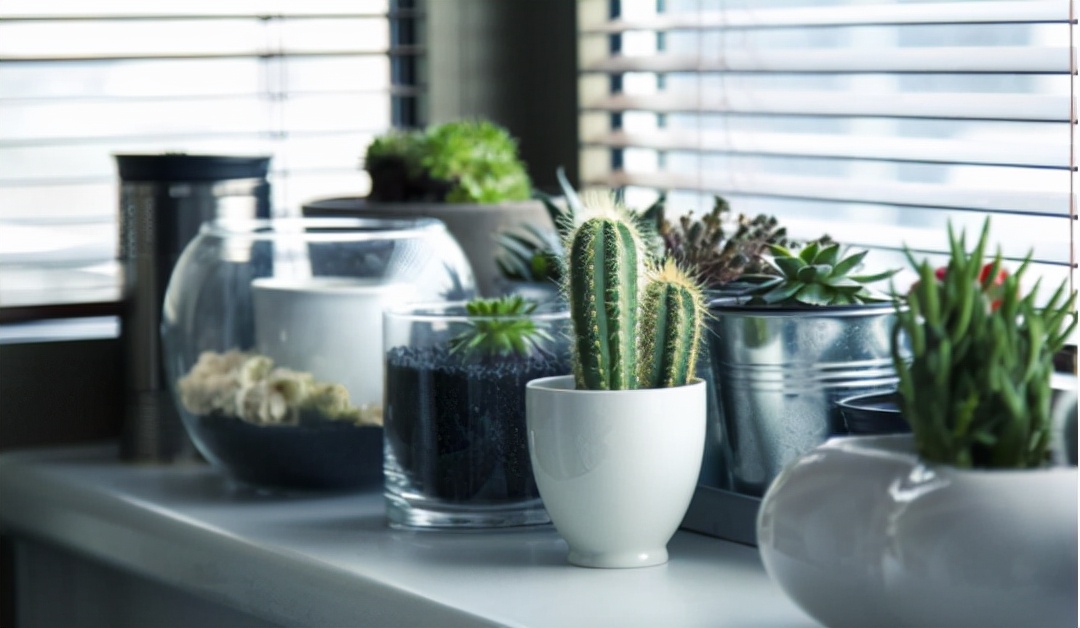 园林花卉学知识点,园林花卉学第三版知识点