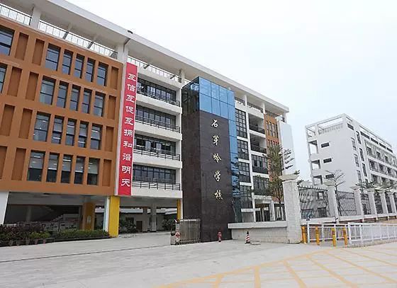 深圳龙岗十大小学排名,深圳龙岗区top10小学