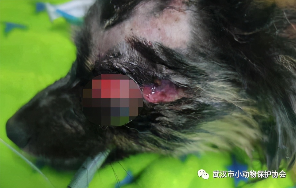 背部烫伤伤口发白是溃烂吗,眼睛被开水烫伤过容易得什么炎症