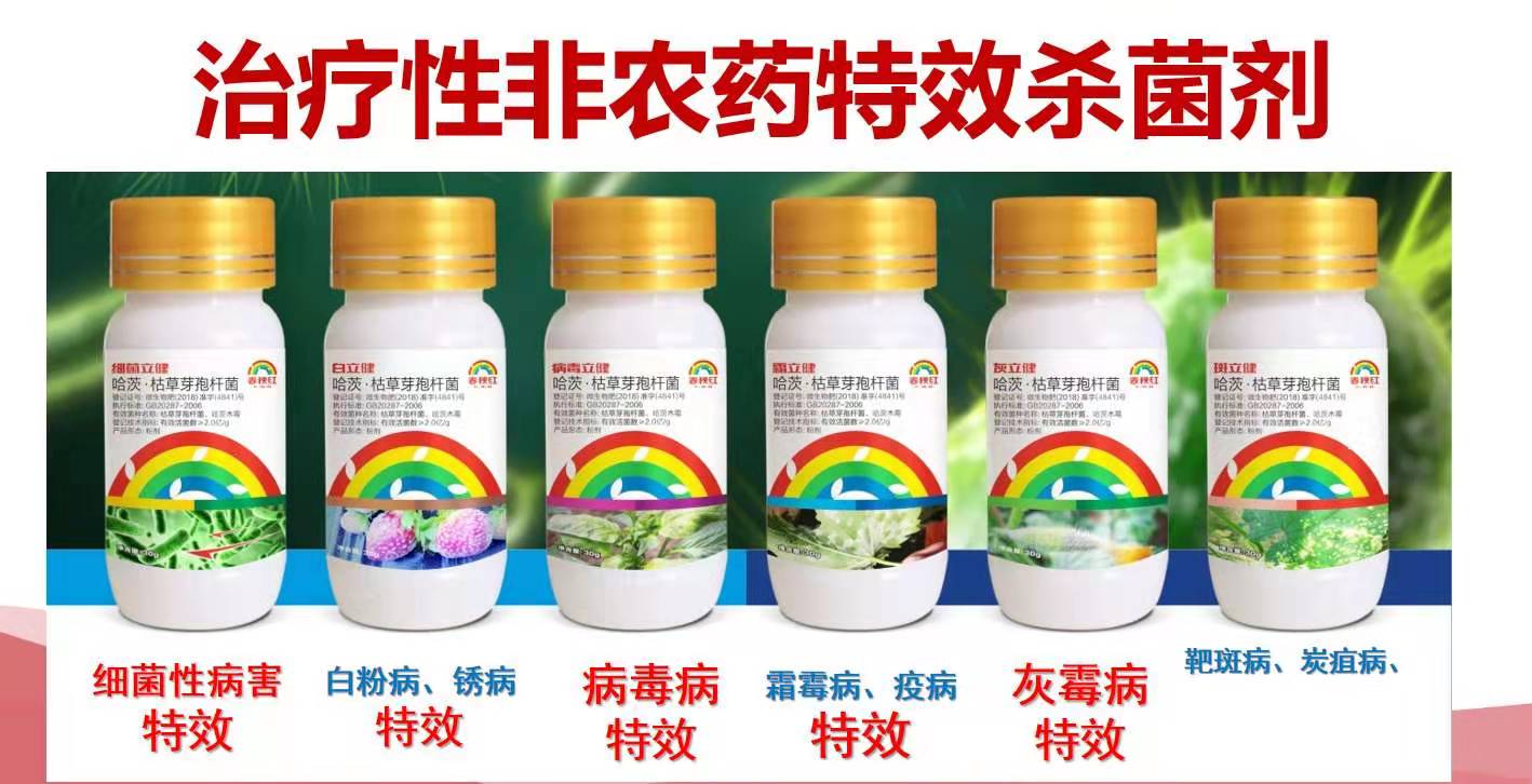 葡萄红蜘蛛病害图片,葡萄病害常用杀菌剂