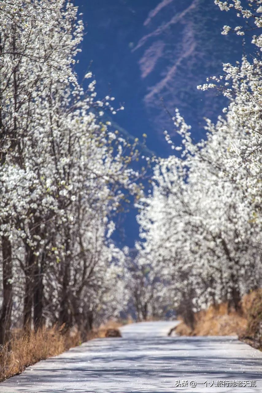 有生之年一定要去四川吗,年轻时不能去四川吗
