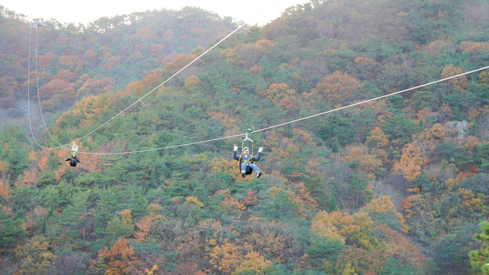 挖人参、做丹药、住转运古宅，想不到的韩国深山秘境游