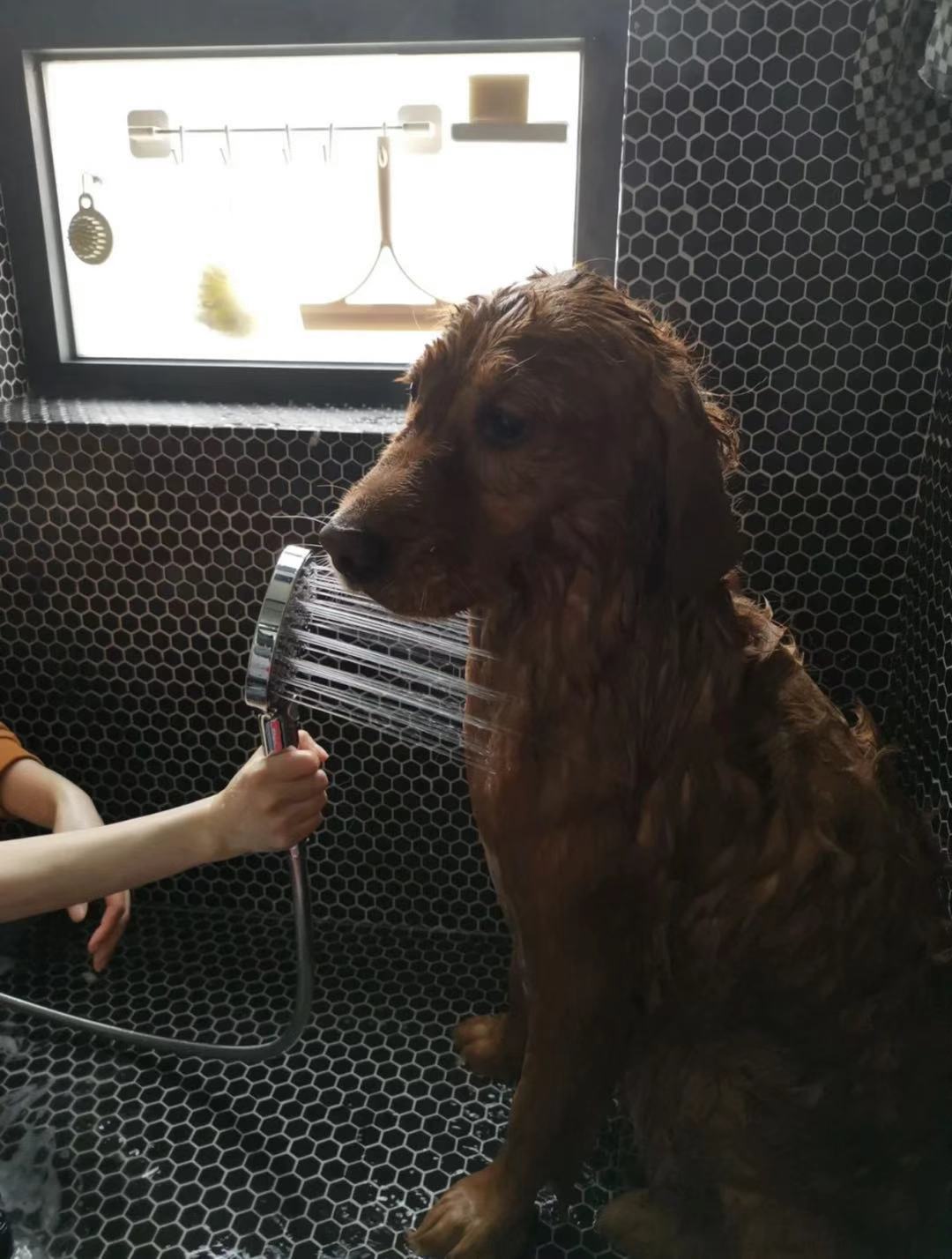 80后女大学生装修设计,女士创意卫生间